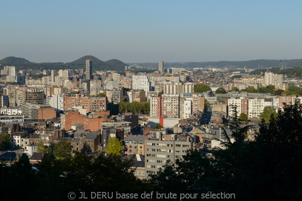 Liège - panorama